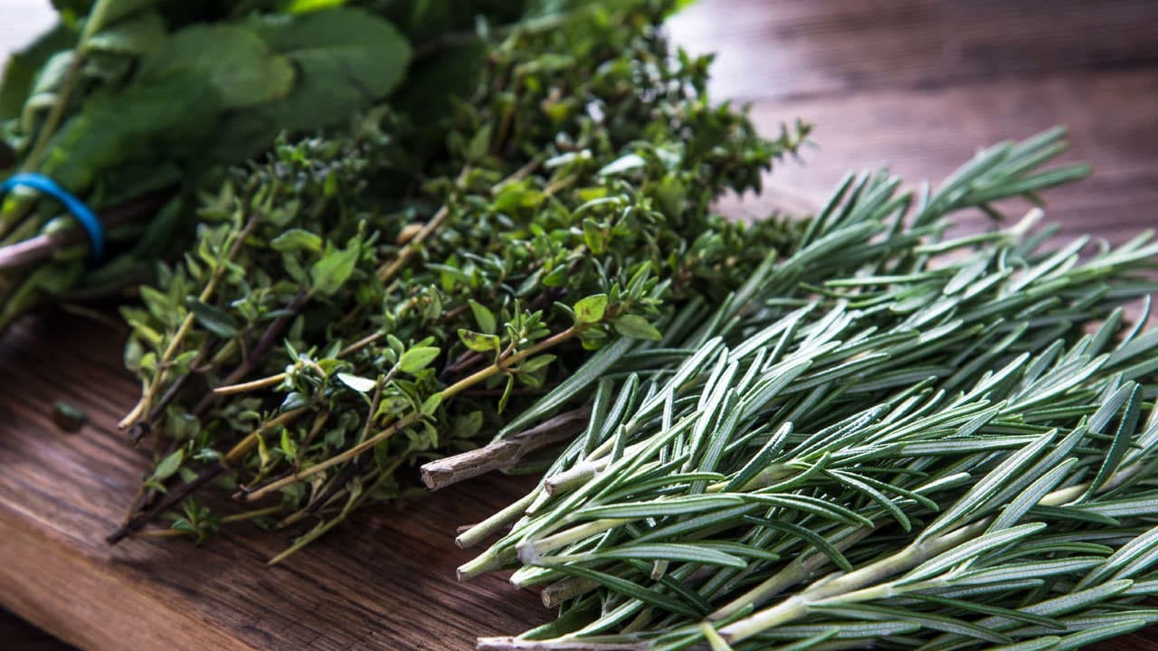 Herb gardening tips and tricks | ask gardenstead 005