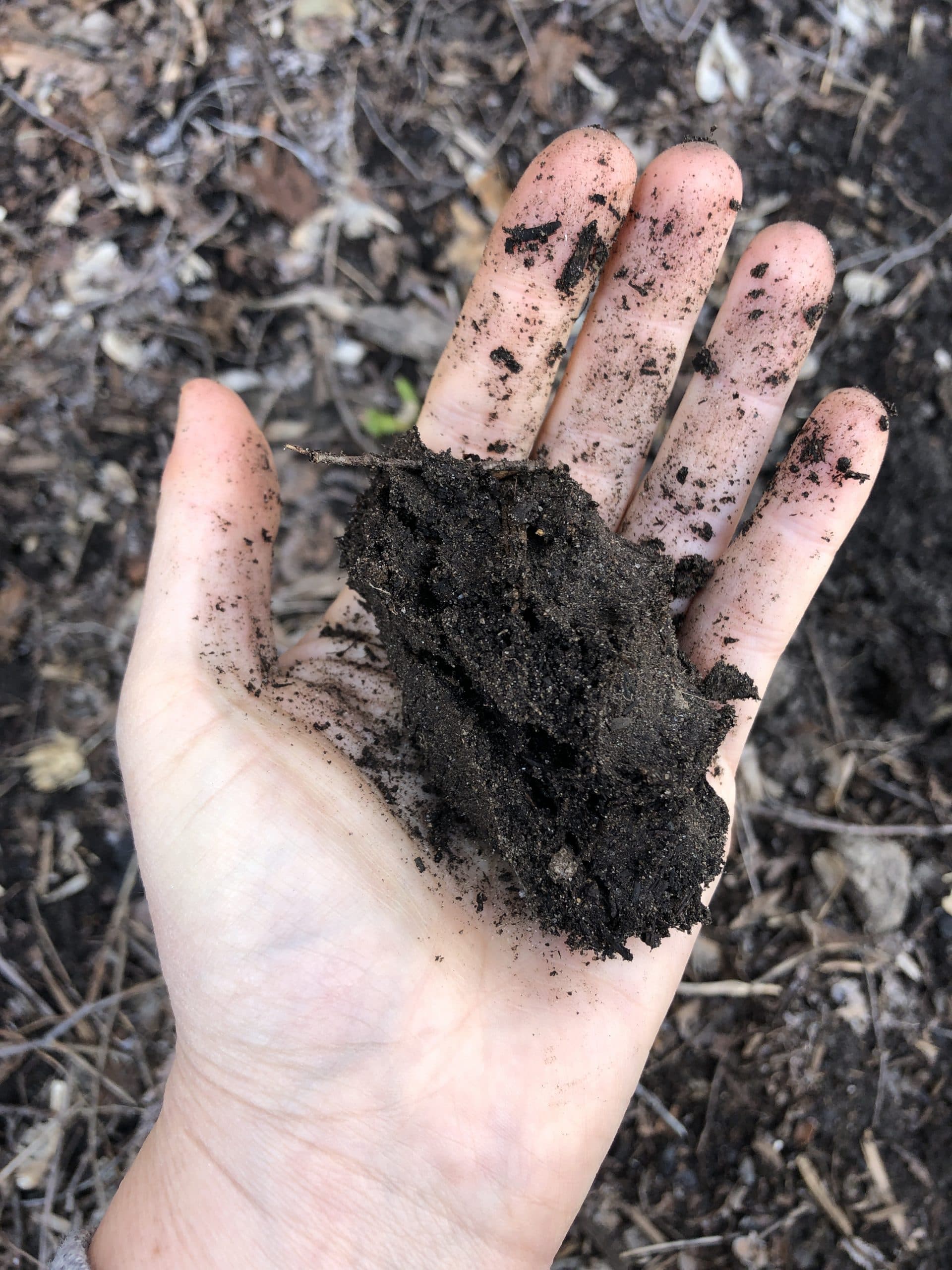 What is: “as soon as the soil can be worked?”
