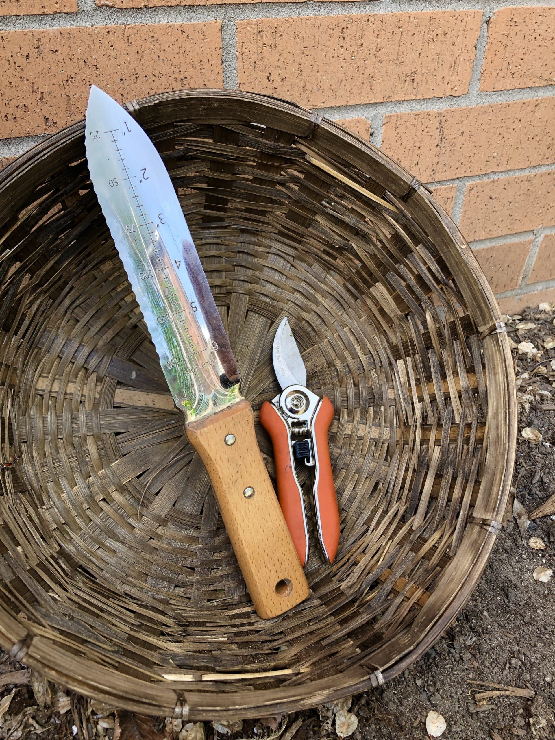 Three essential garden tools you need