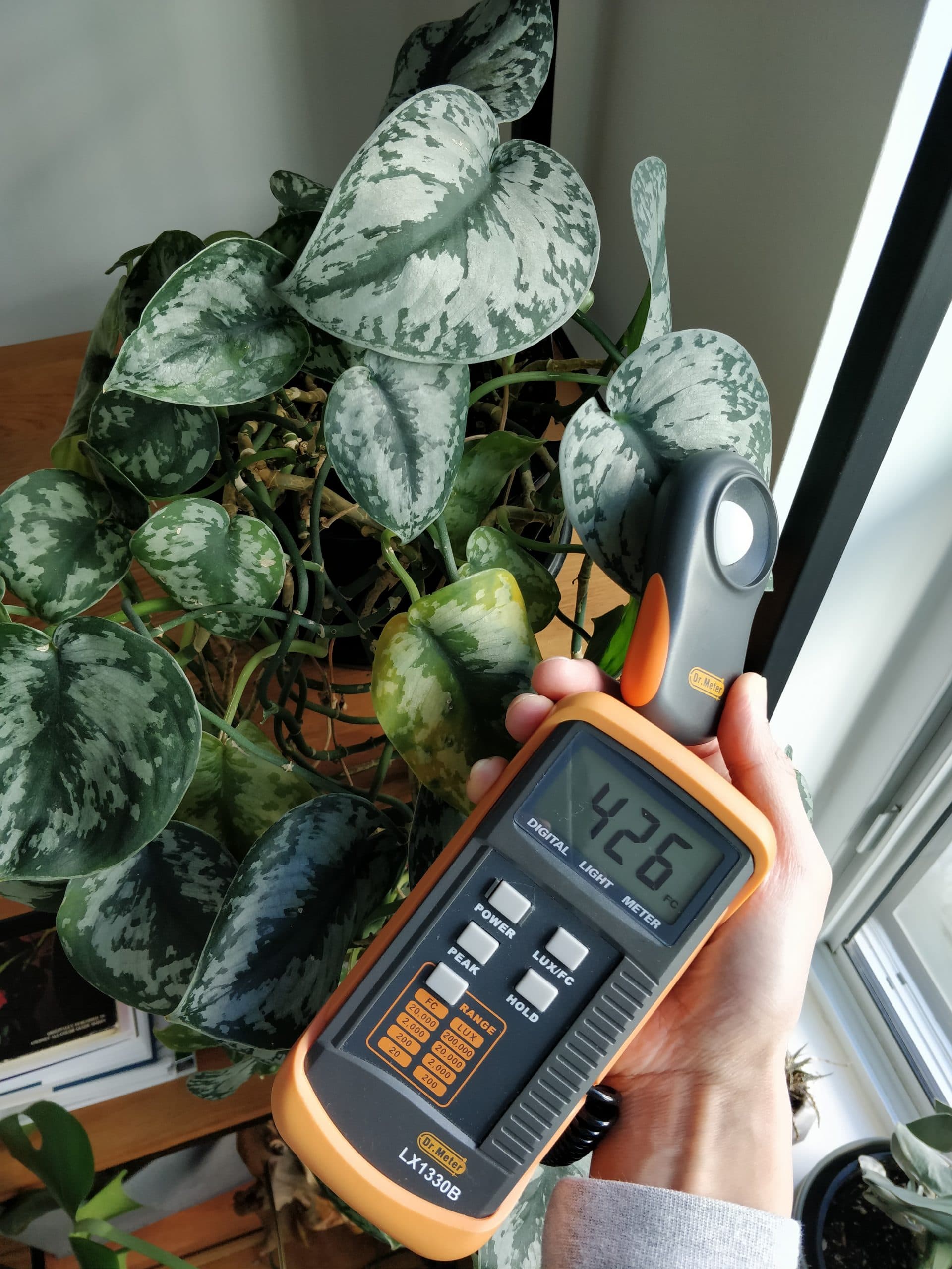 Indoor light for houseplants: an engineer’s perspective