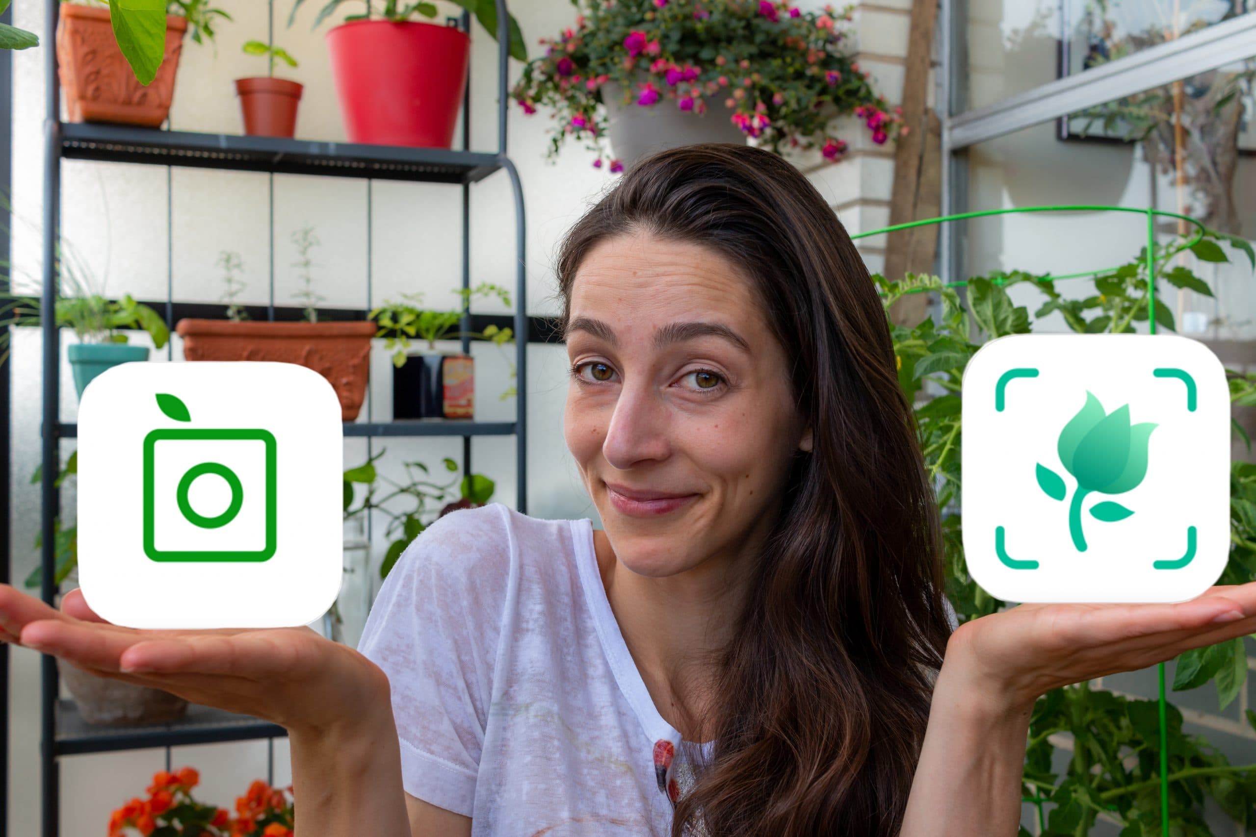 Plant ID app review showdown