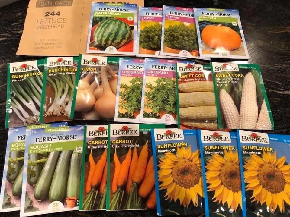 Planning your fall garden