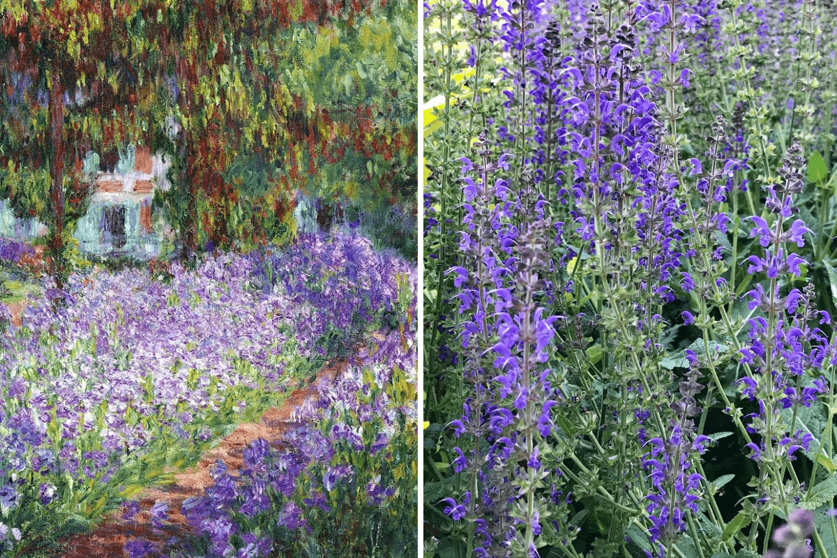 Color psychology: exploring colors in your flower garden
