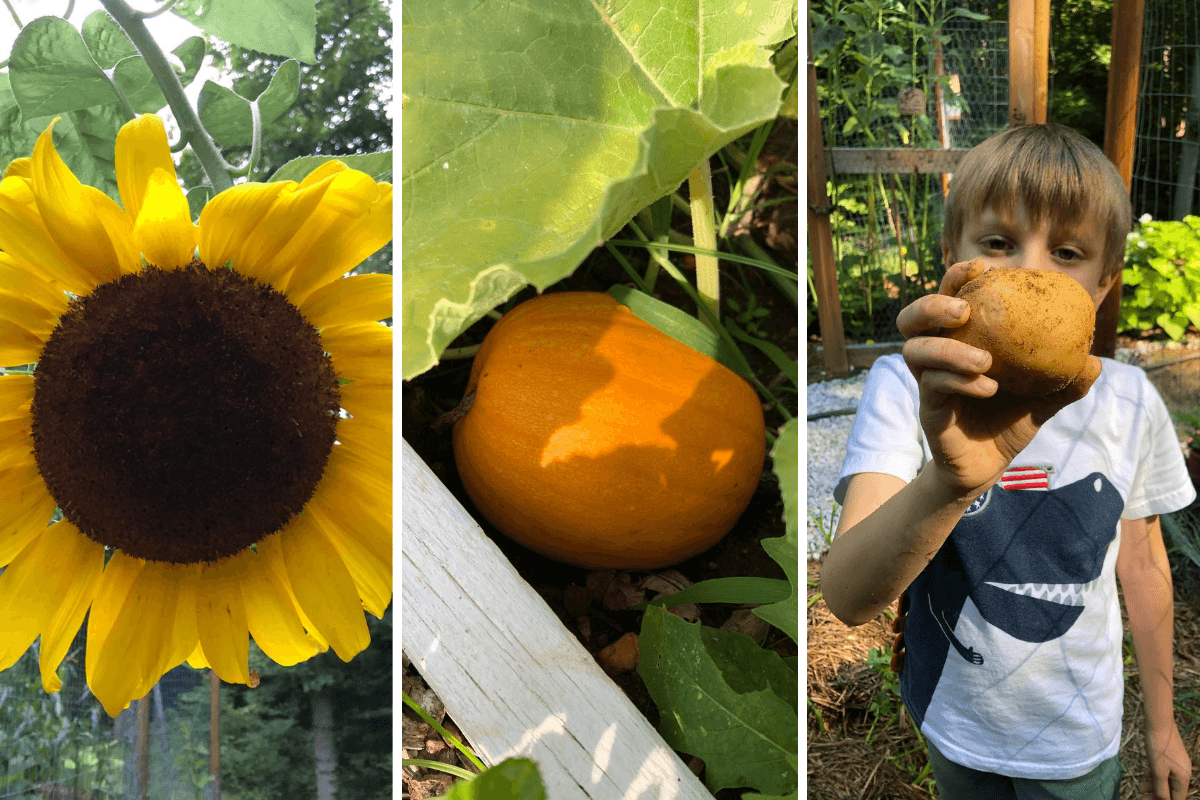 11 Things you should be doing in September