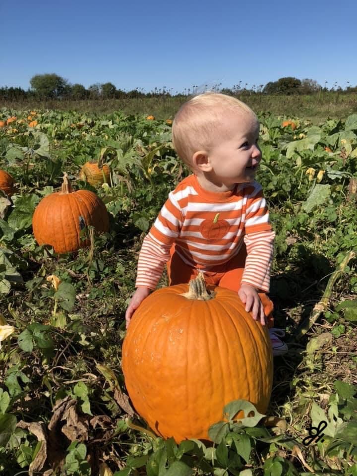 Lilly Ann in the pumpkin patch