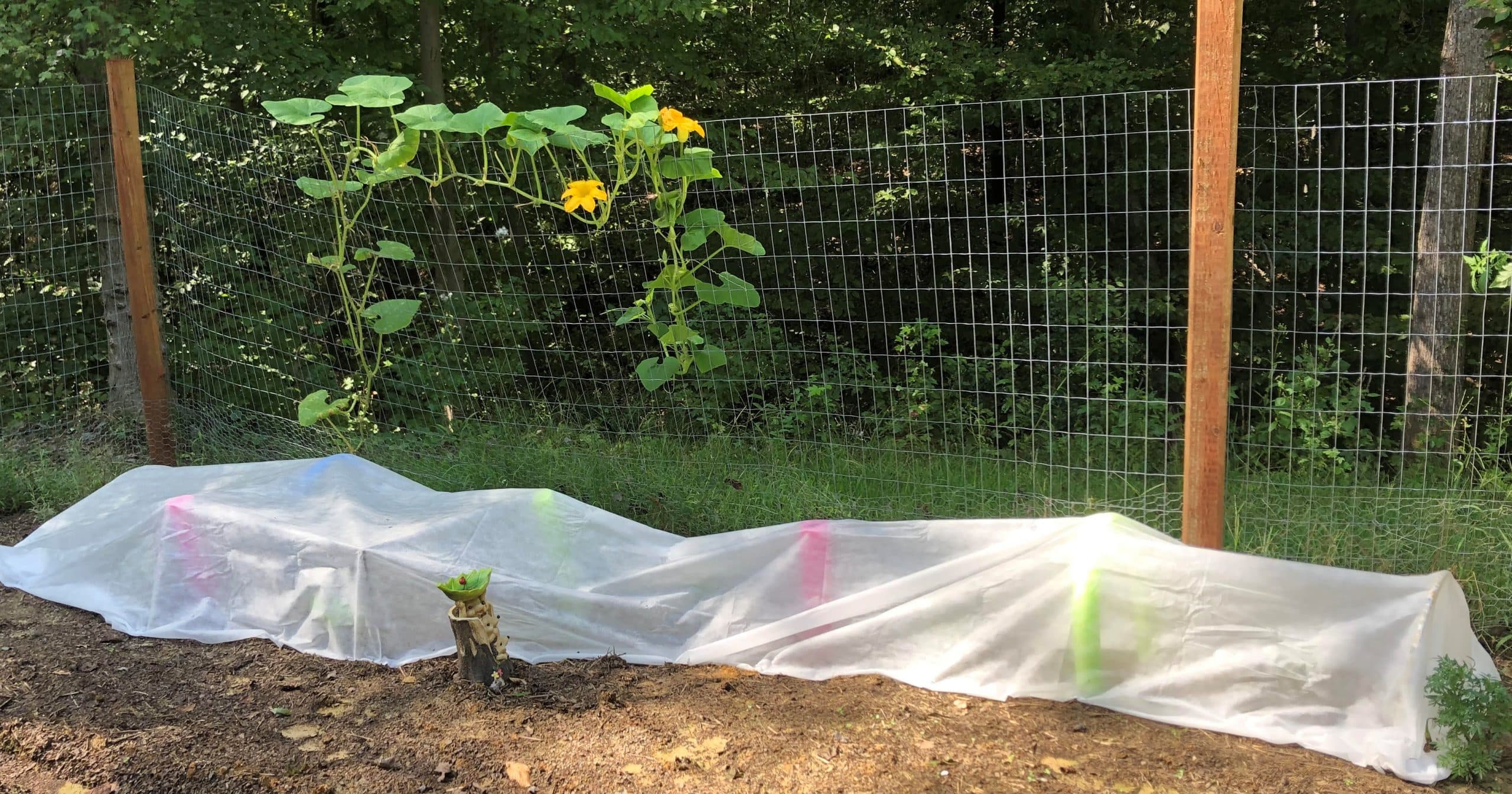 garden row cover