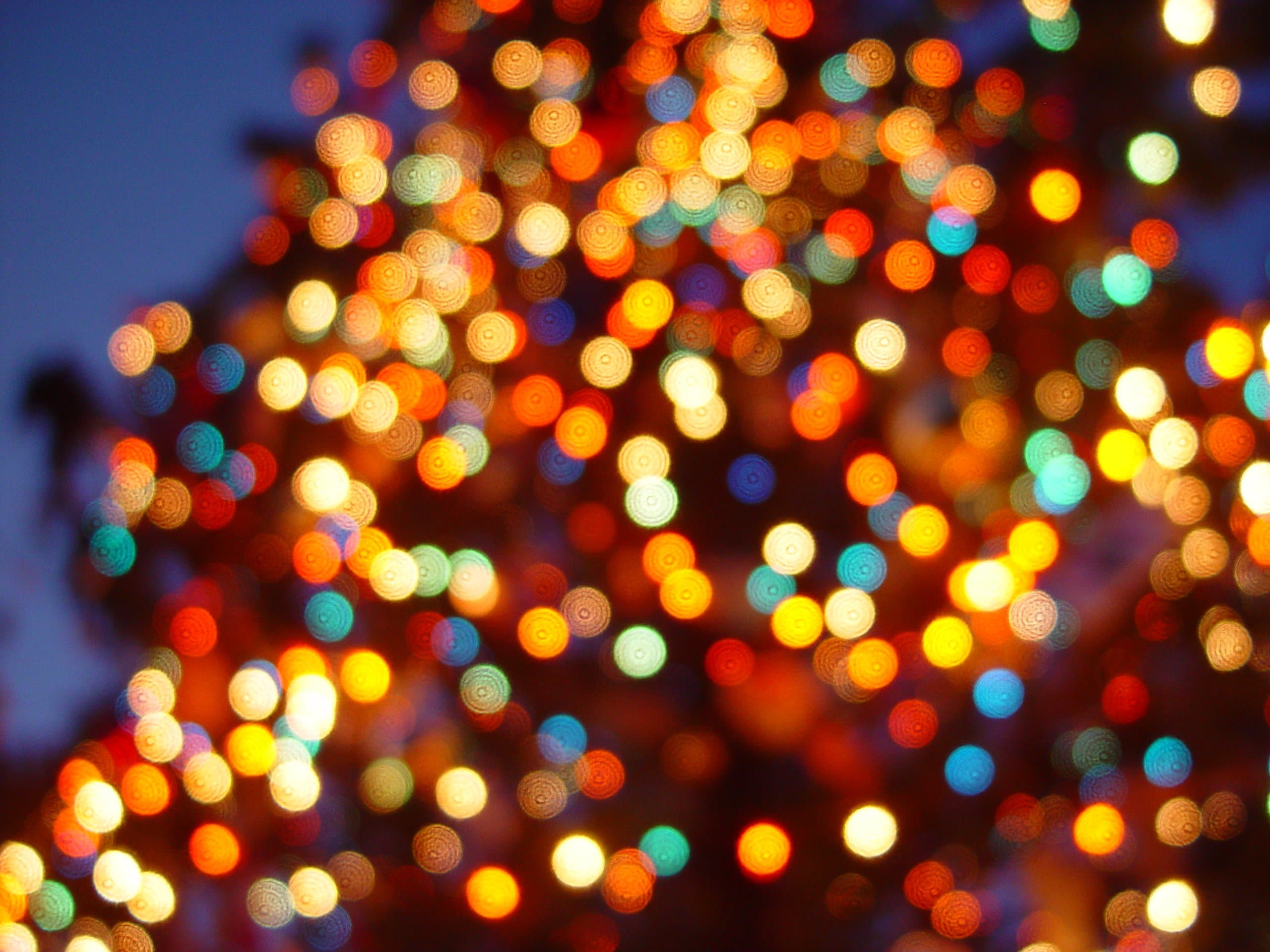Christmas lights