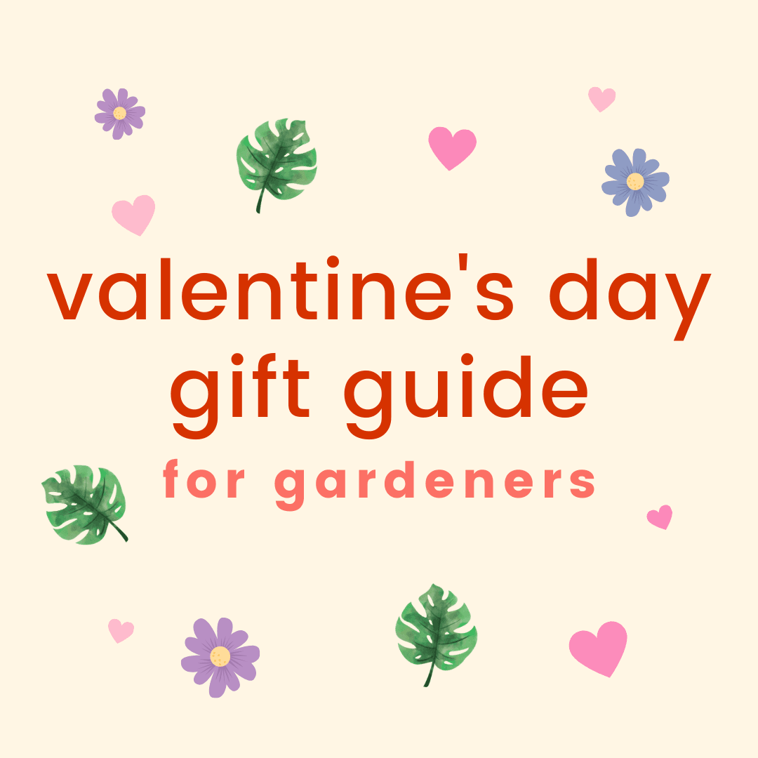 valentines day gift guide