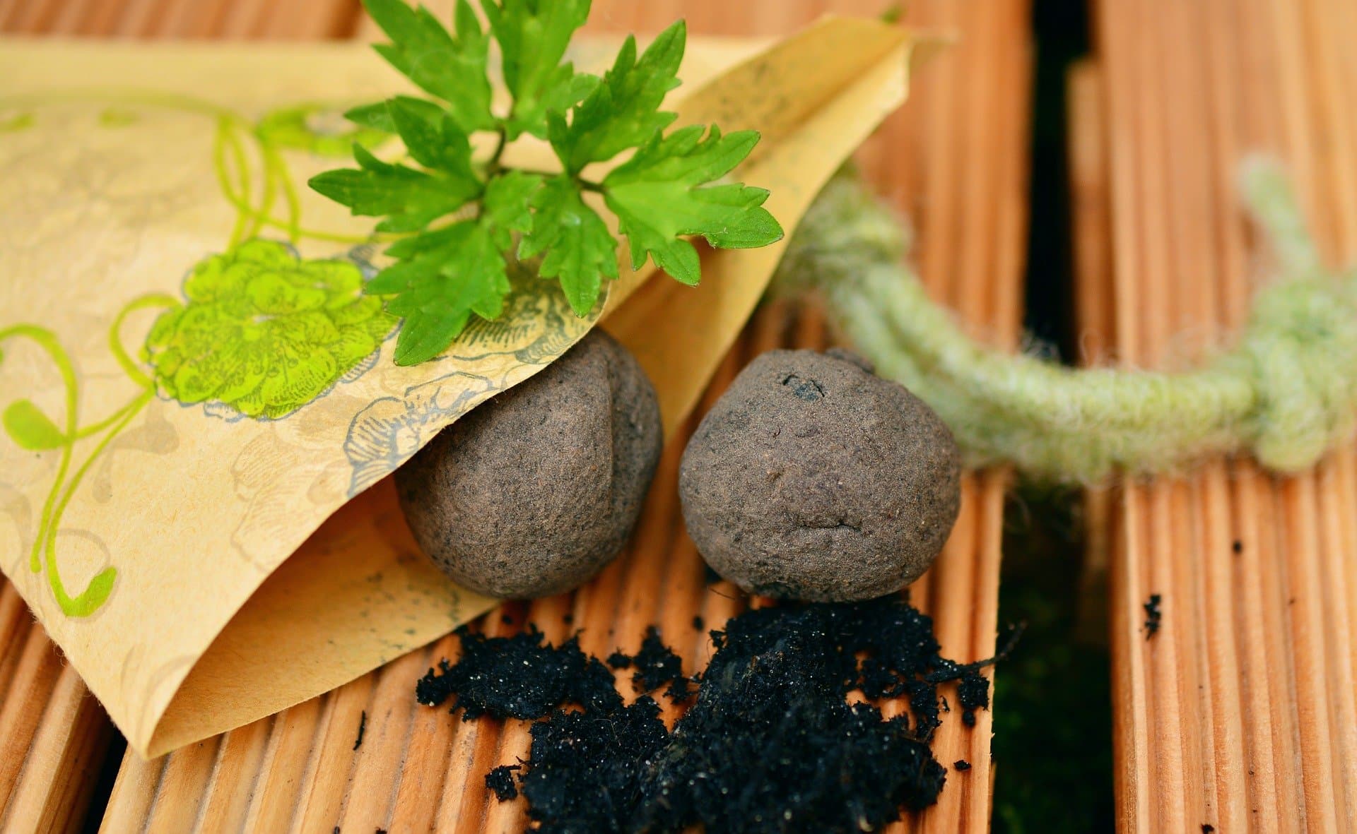 Seed Bombs