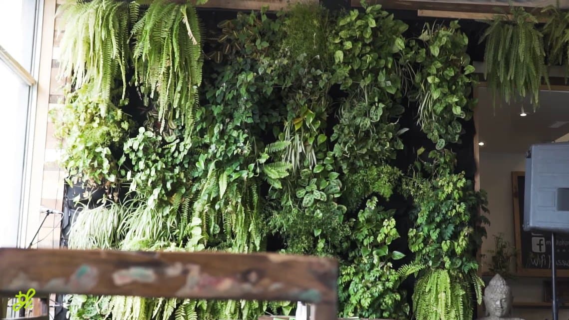 indoor green wall gardenstead