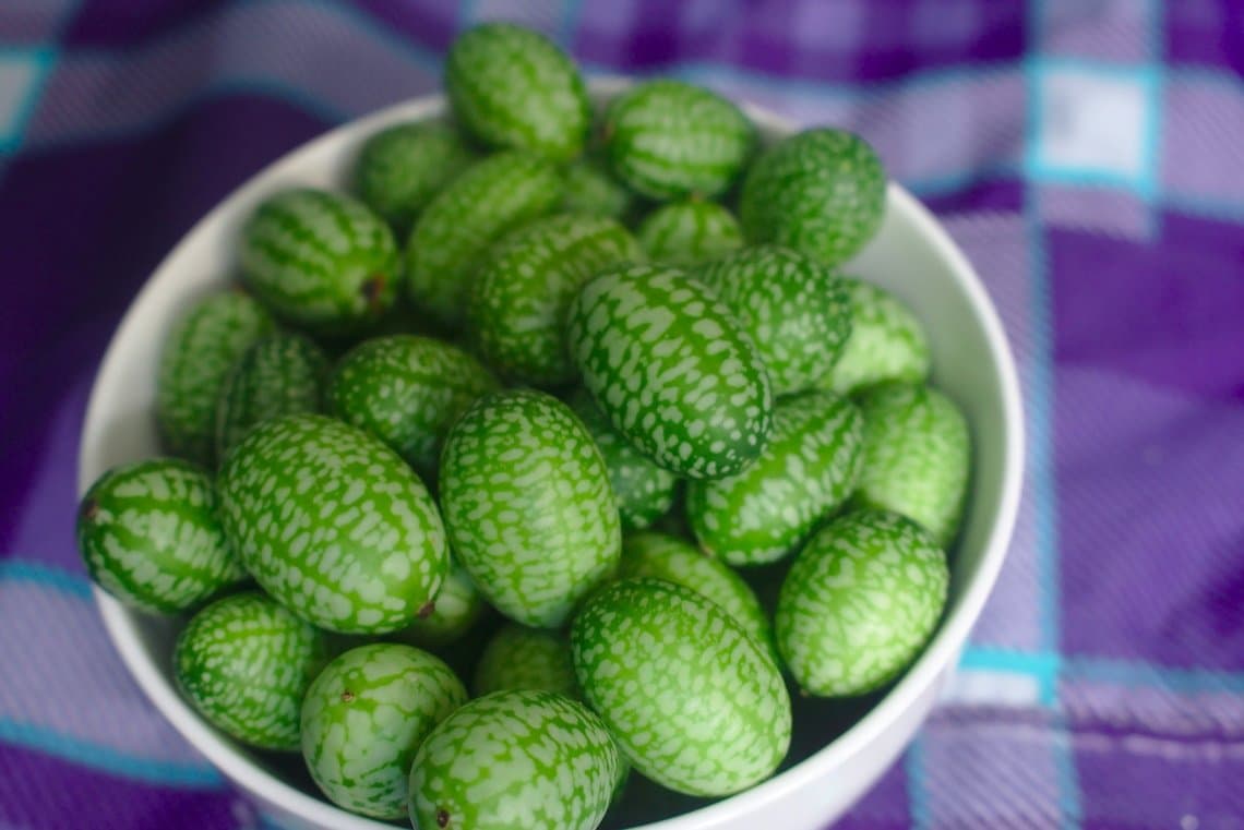 Cucamelon