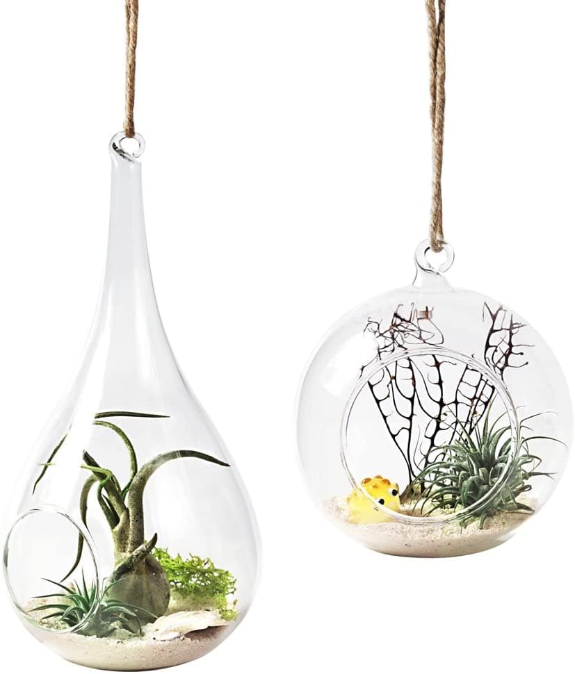 Terrarium Plant Hangers