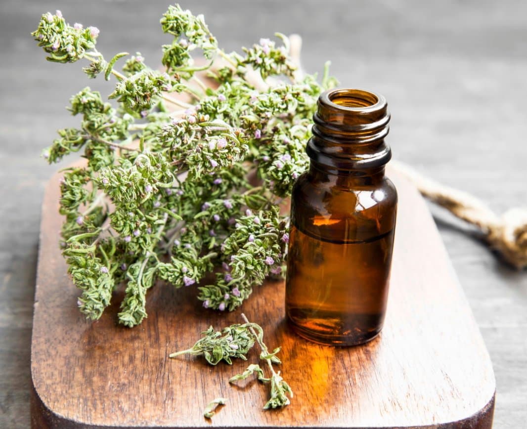 natural bug repellent