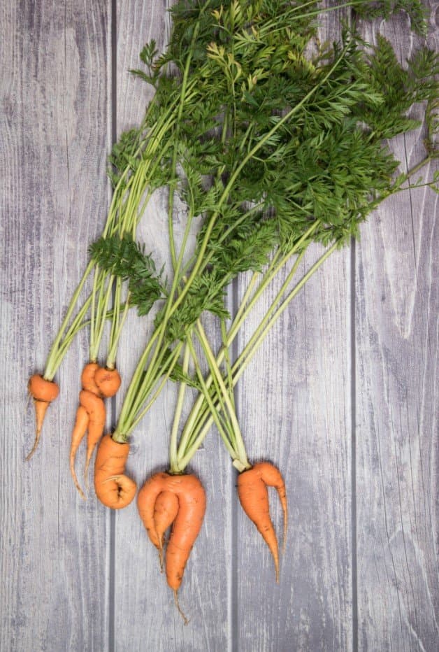 weird carrots