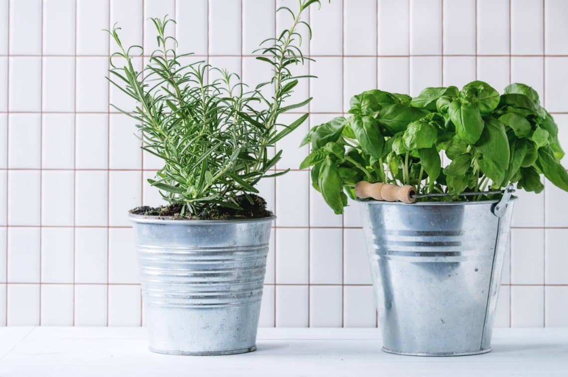 herb garden indoors