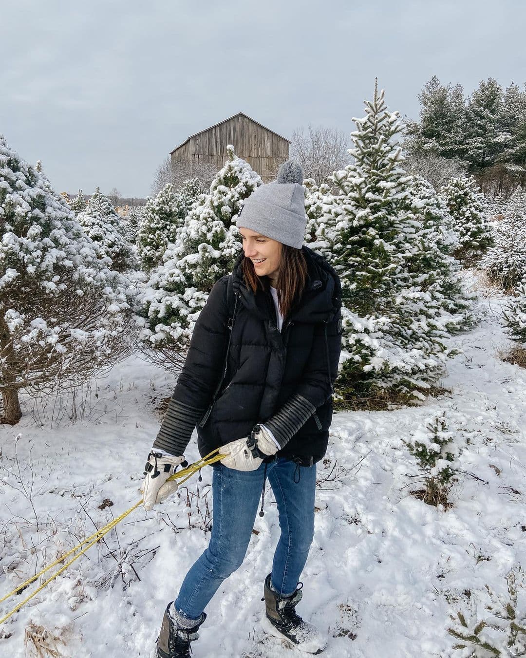 Winter Christmas Tree Farm