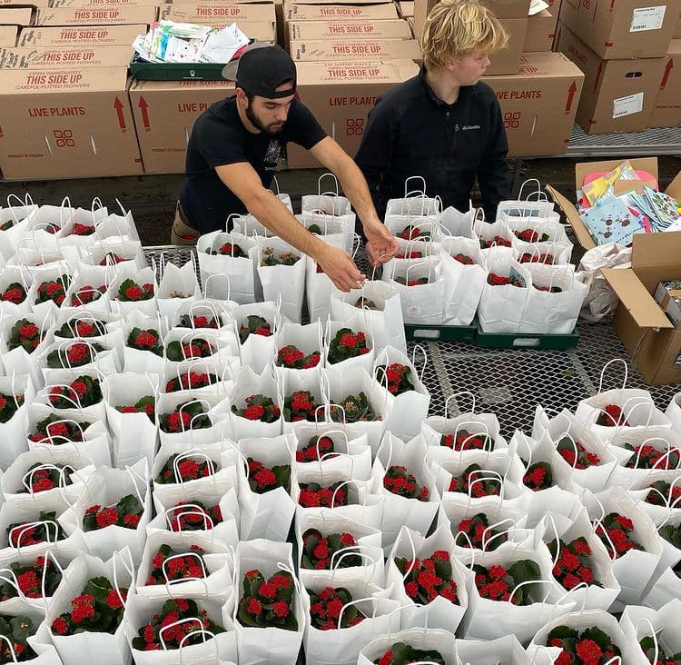 packaging bags - dahliamayflowerfarm