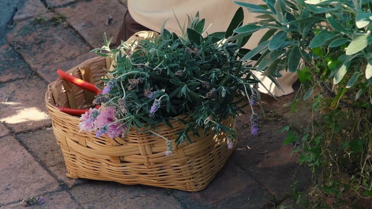 gardening basket