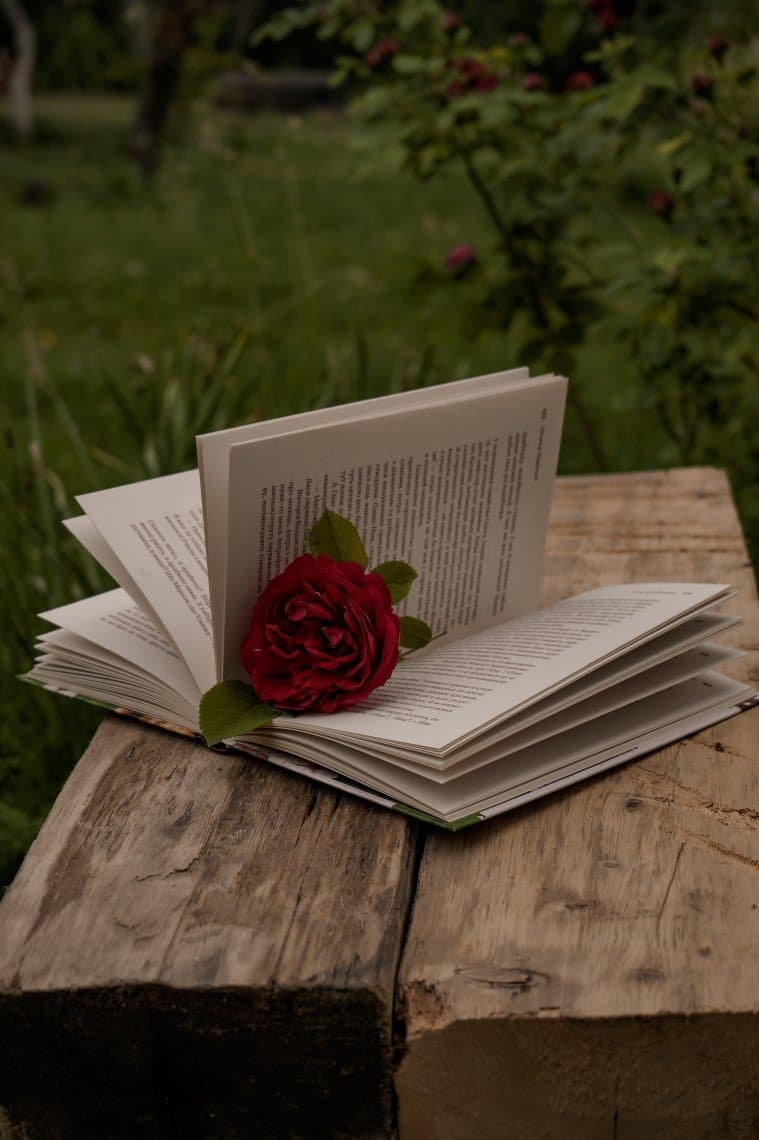 book with rose