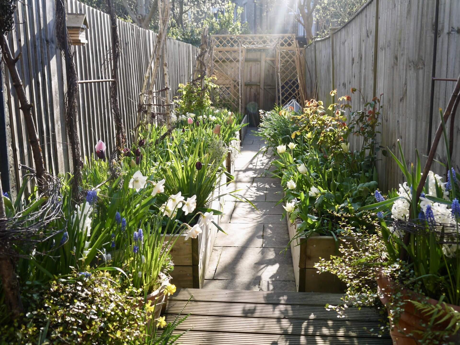 raised bed gardening