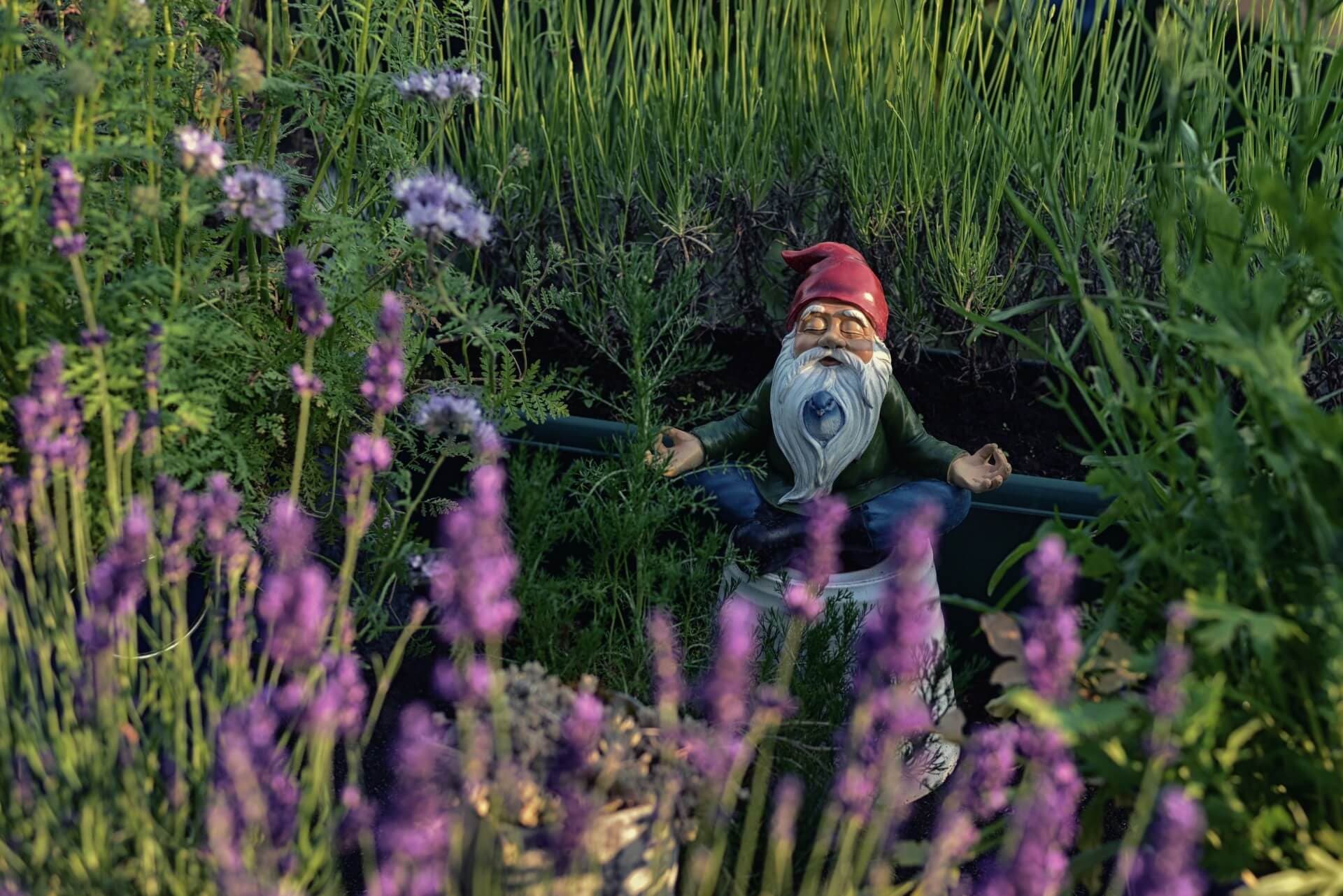 garden gnome by dylka unsplash