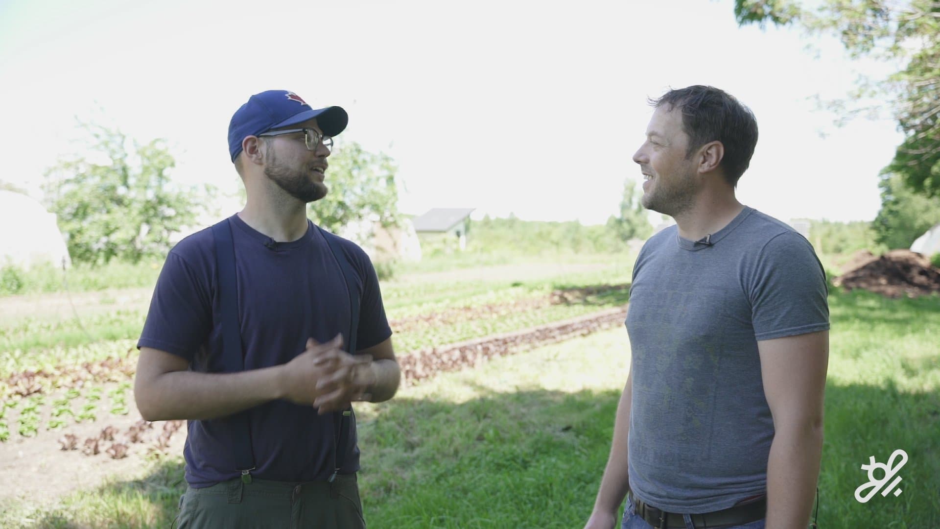 Sustainable farming methods at Wheelbarrow Farm