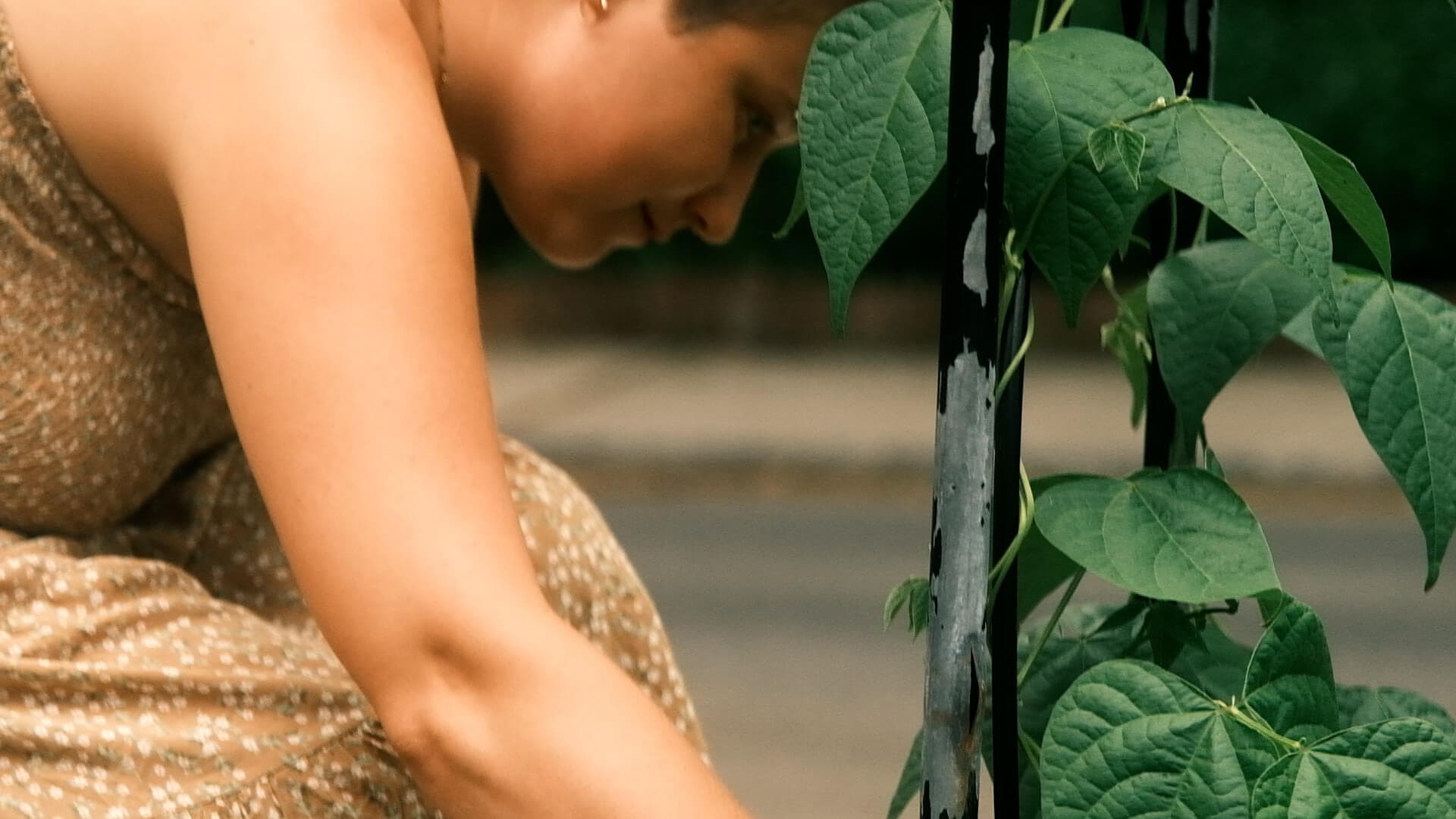 seed starting gardener