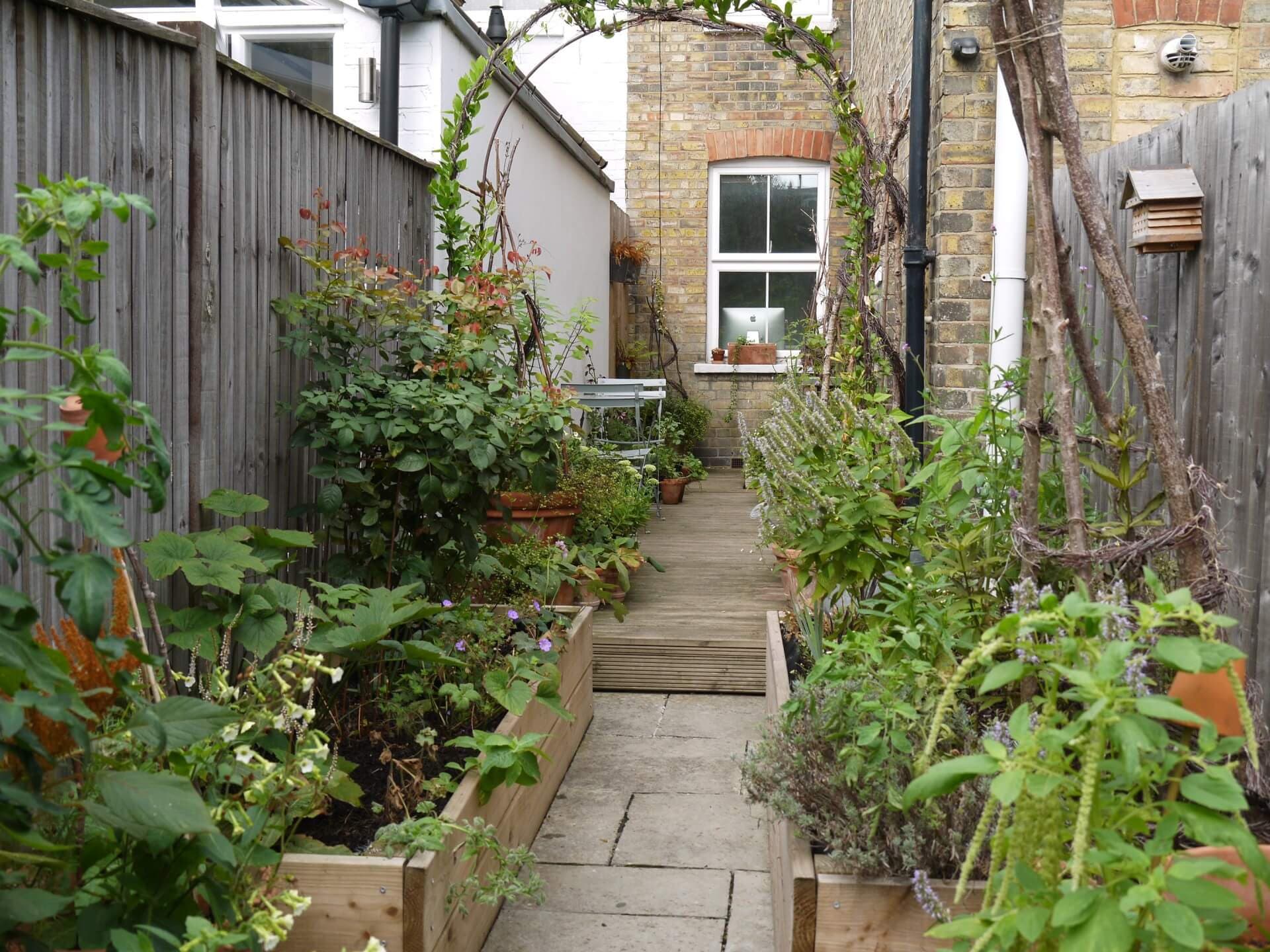 cottage garden
