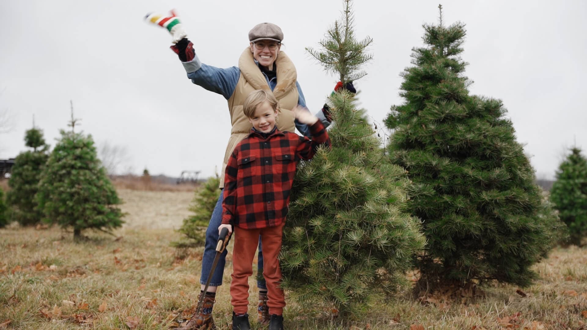 How to choose a Christmas tree