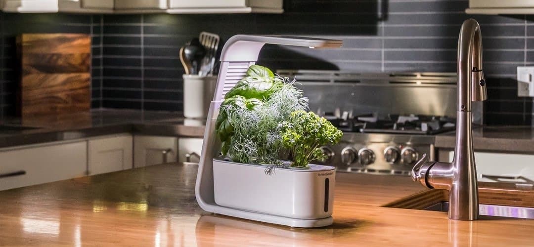 AeroGarden Sprout