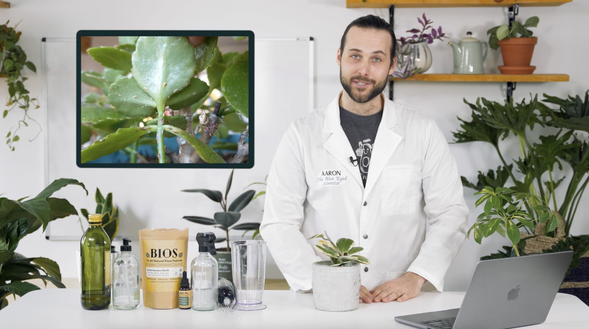 Plant Aid with Aaron
