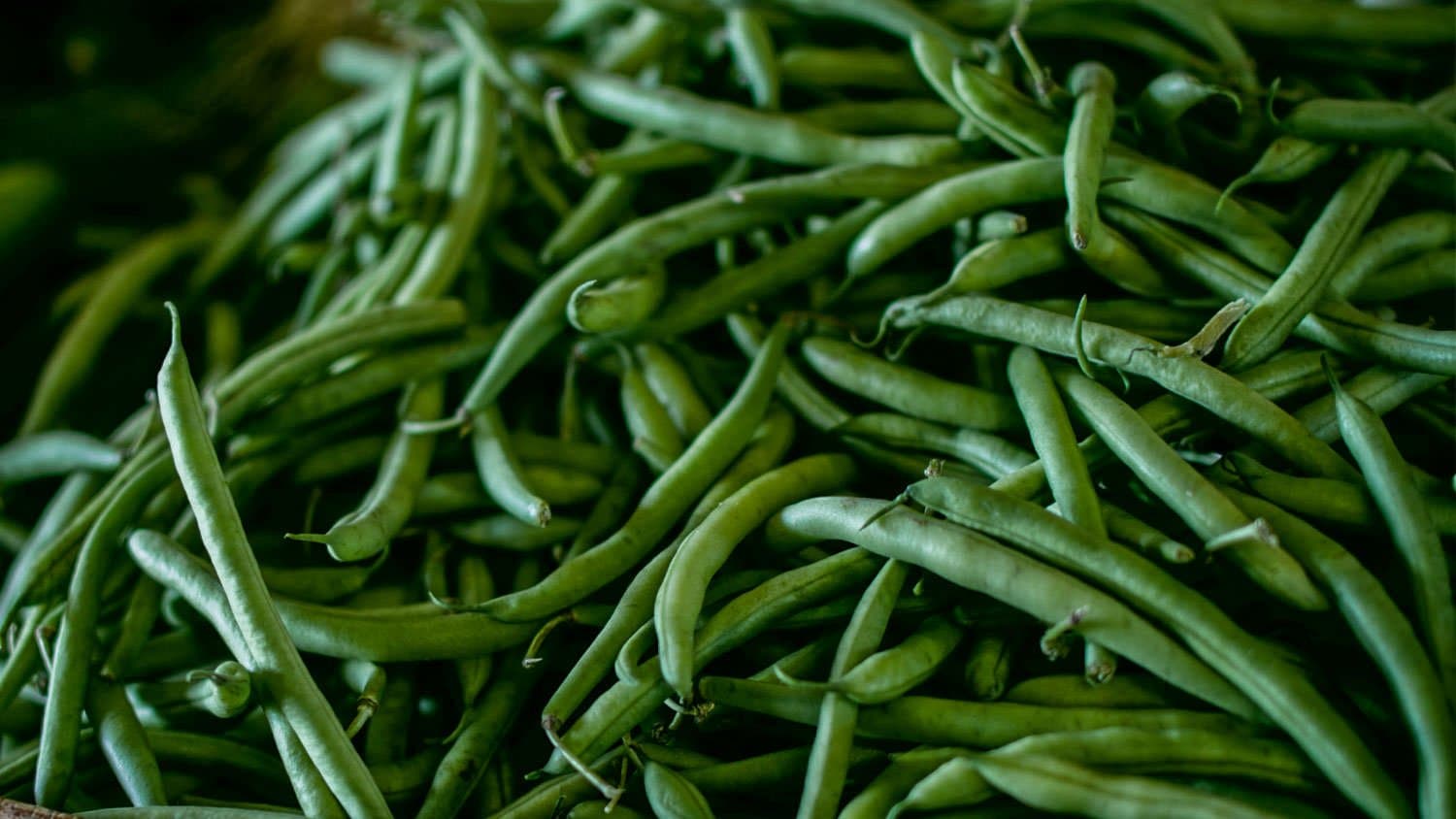 Pole Beans