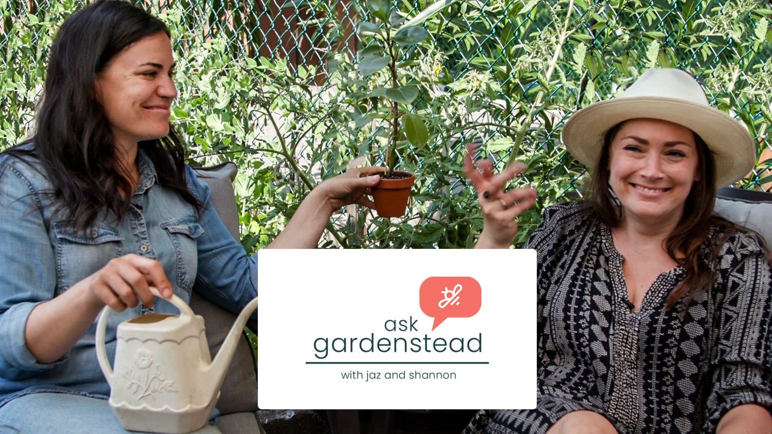 ASK gardenstead - Episode 1