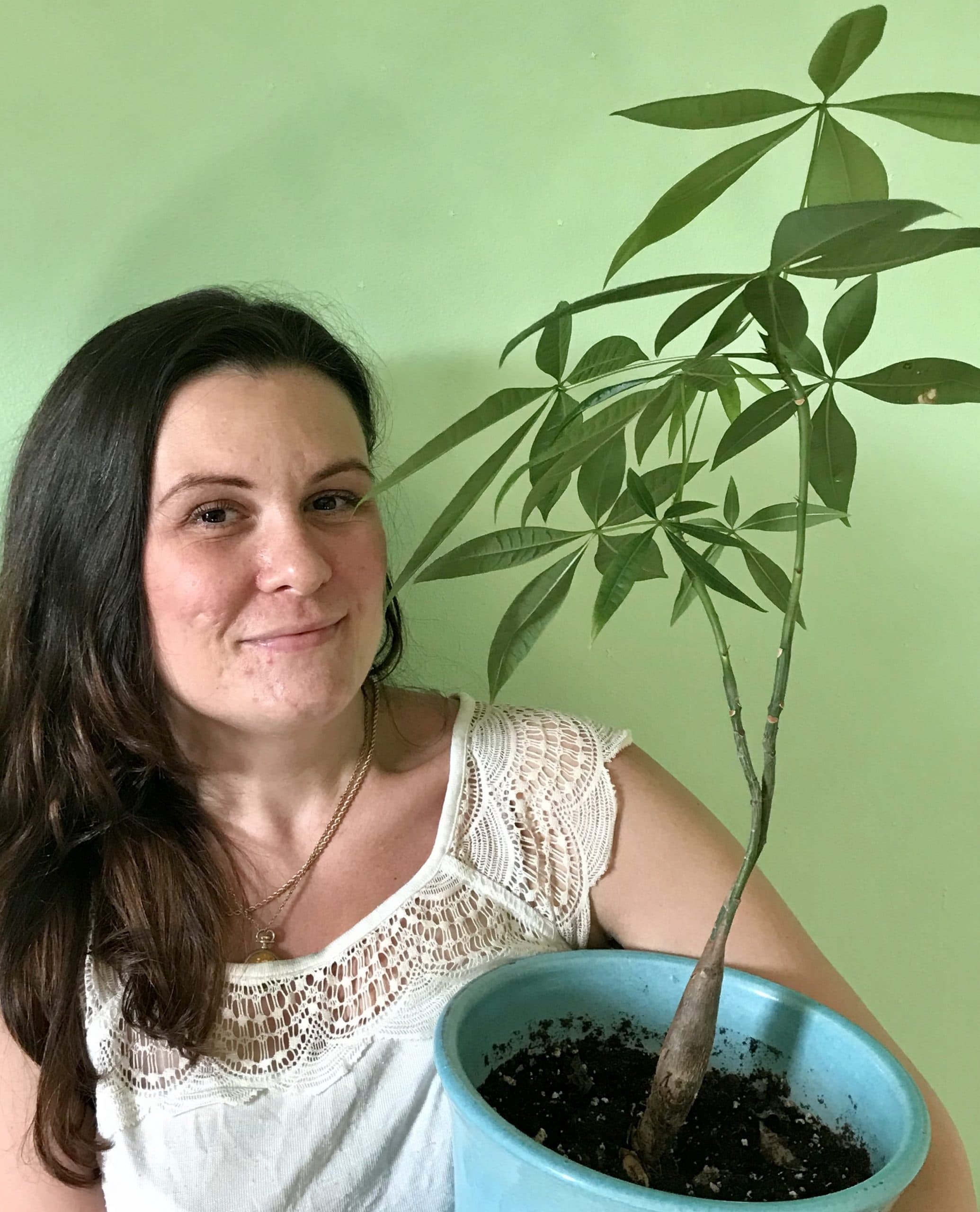 Hey, money plant! What’s your story?