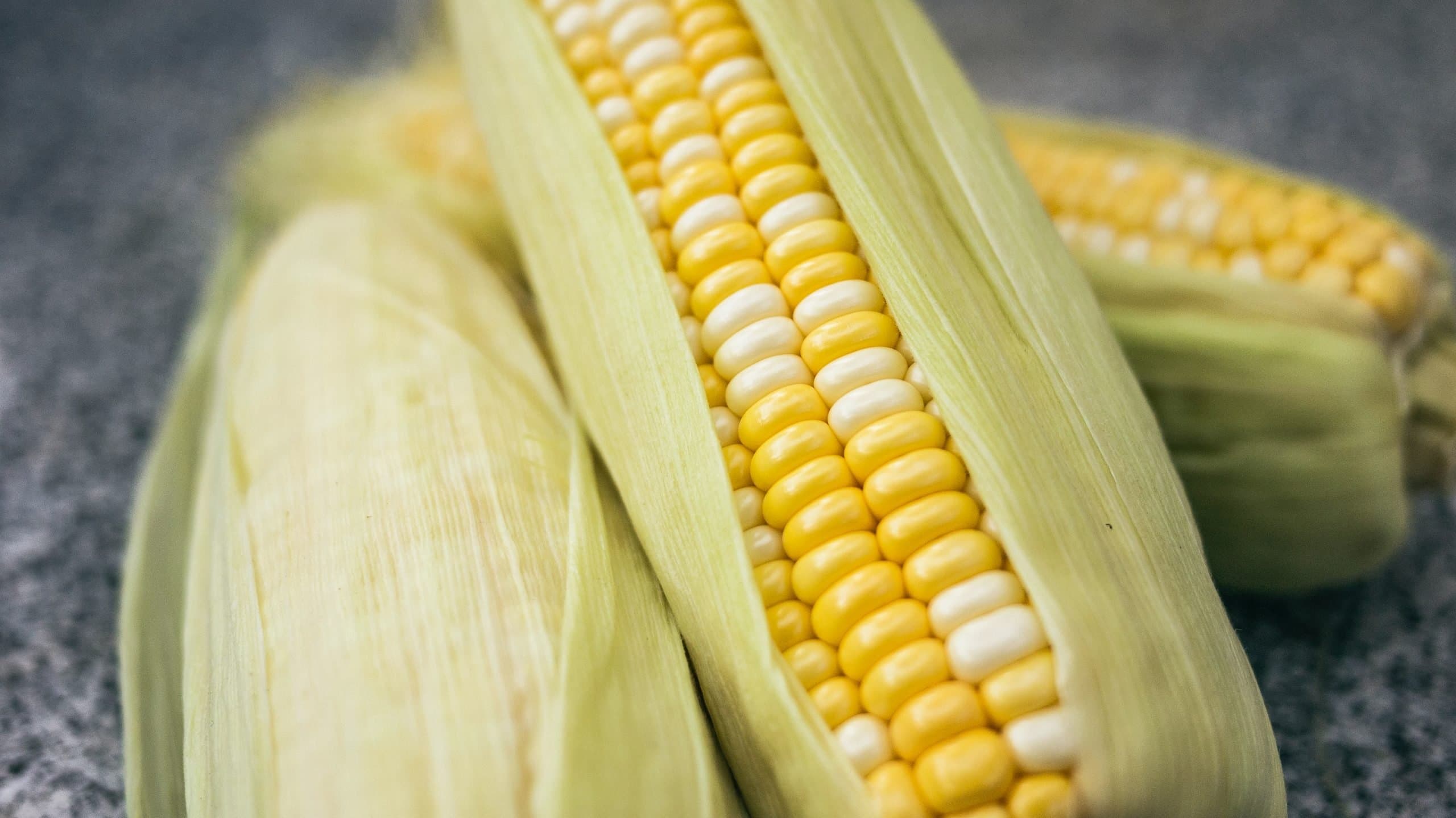 Corn - photo by Phoenix Han via unsplash
