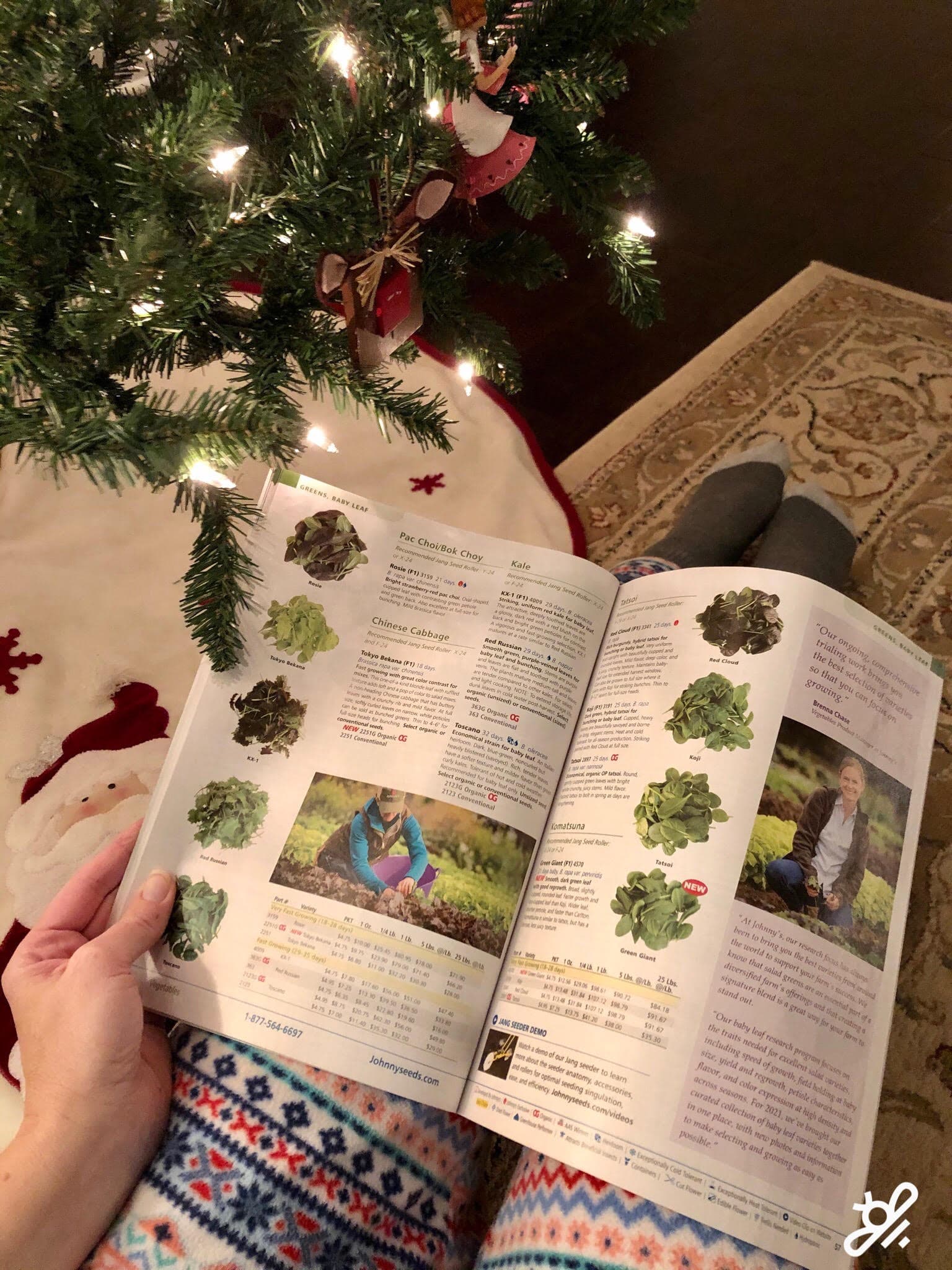 Browsing seed catalogs