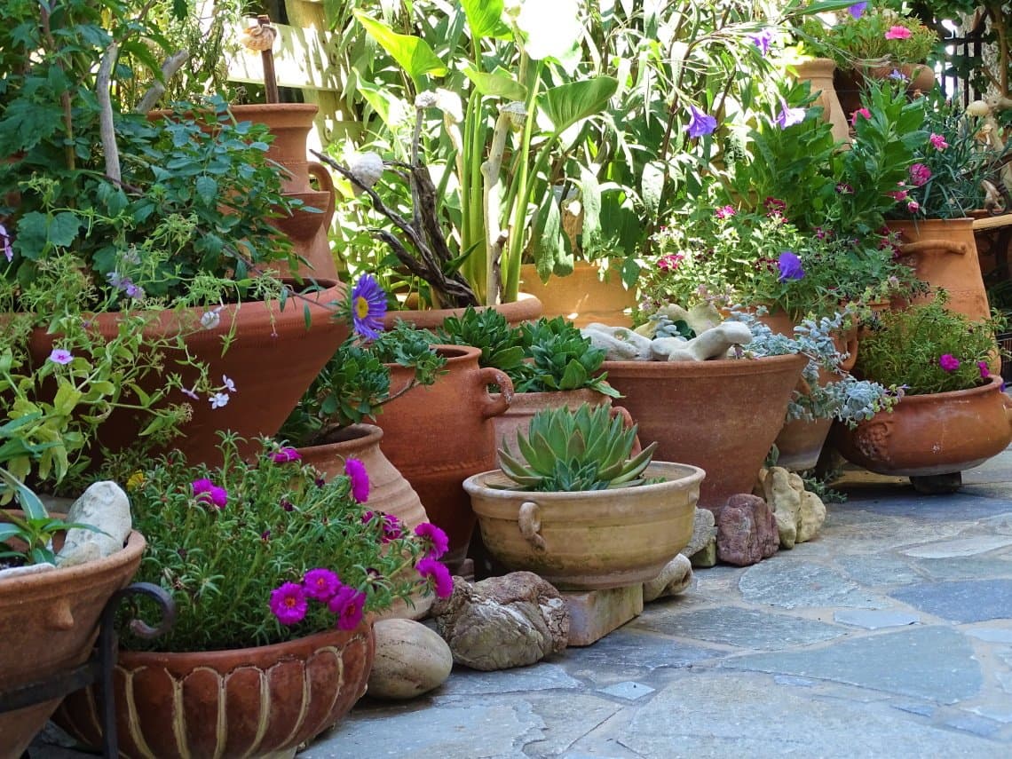 Clay container and cement container