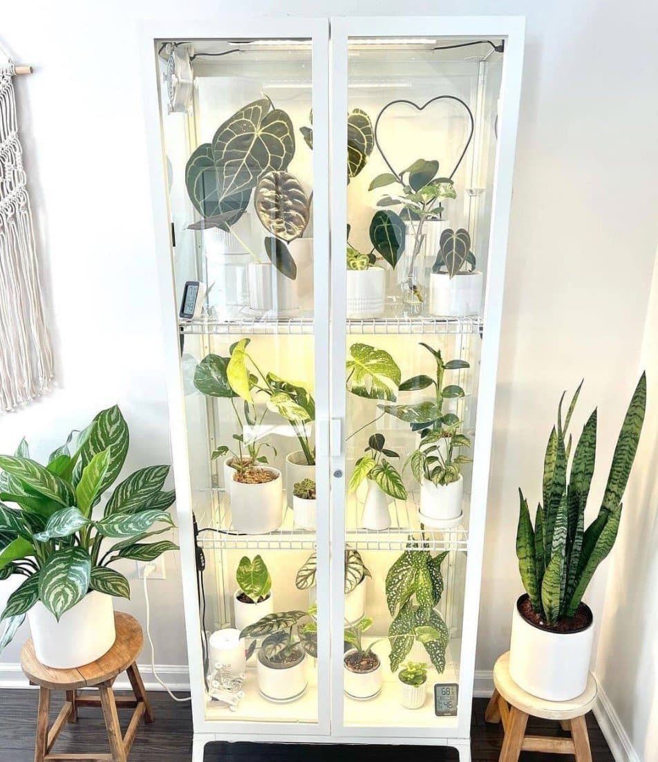 greenhouse cabinet by @rachplants