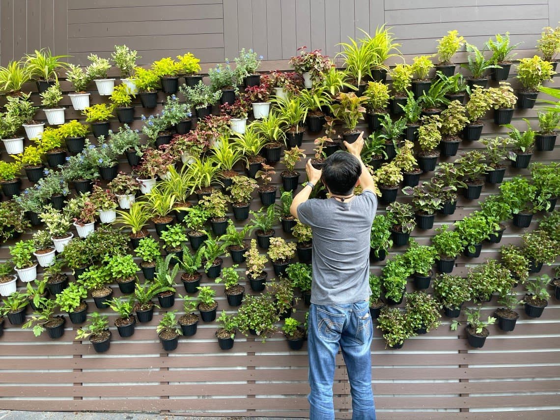 vertical wall gardening