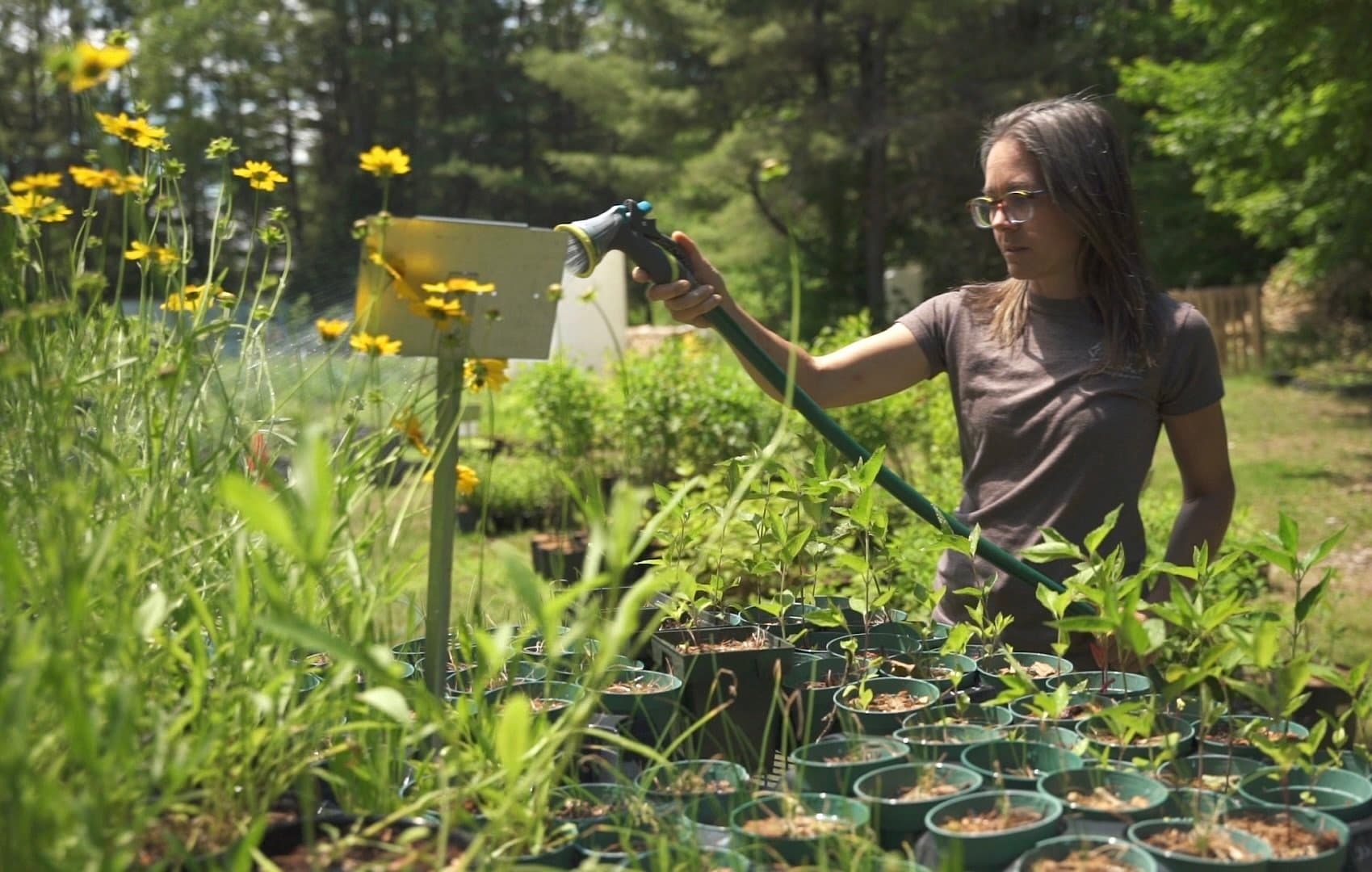 Gardening for wildlife — how to help native species thrive