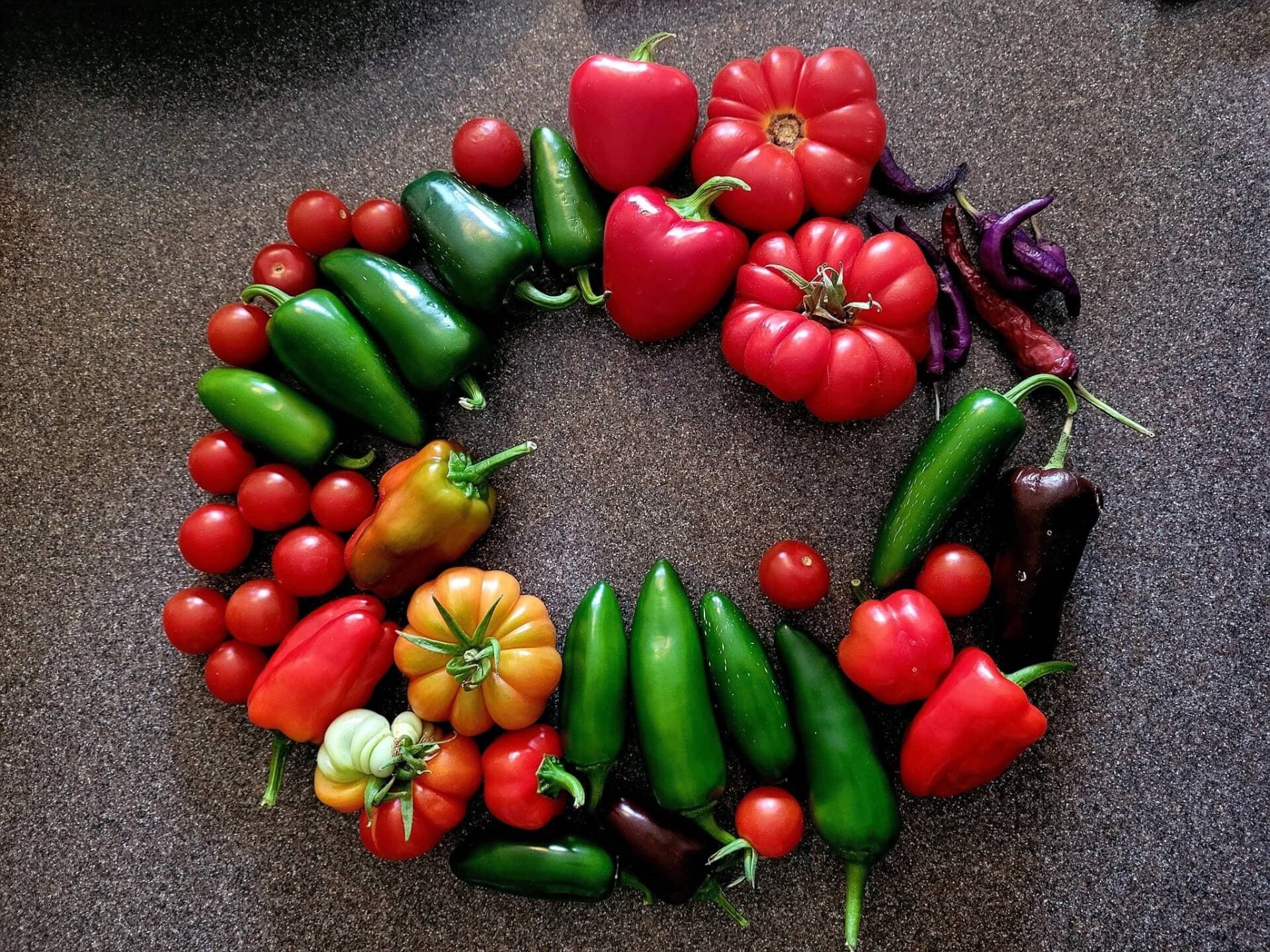 community harvest - Nikki Alex
