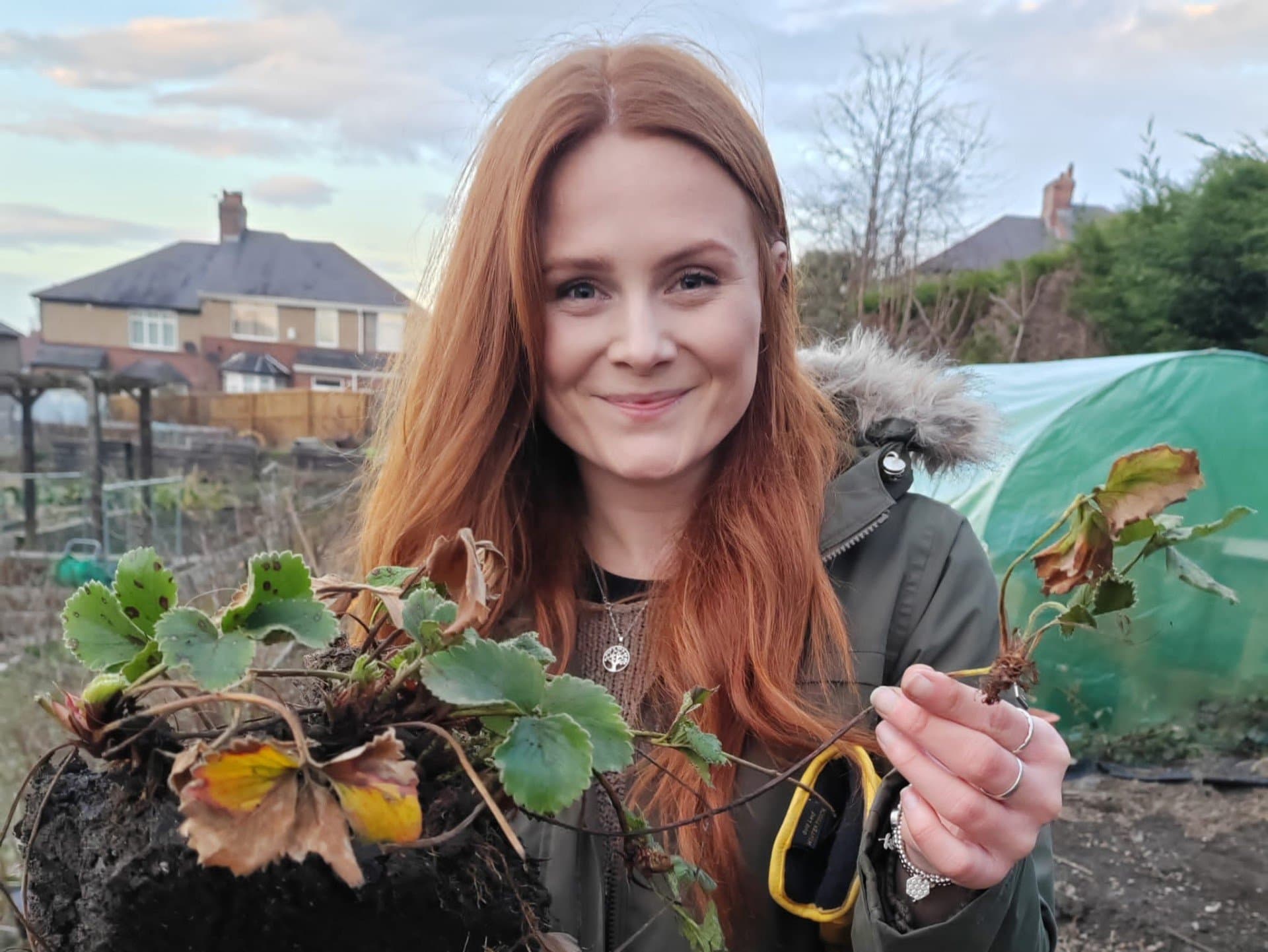 allotment gardening