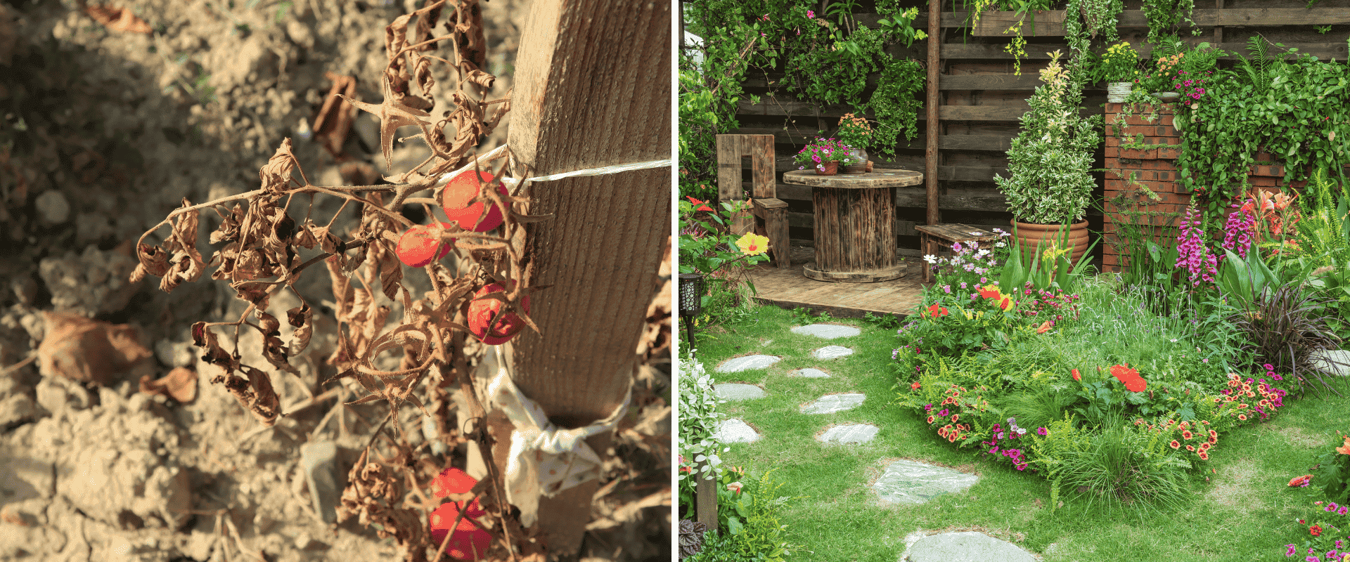 Adapting Your Garden to Extreme Weather: Drought, Heat & Unpredictable Seasons