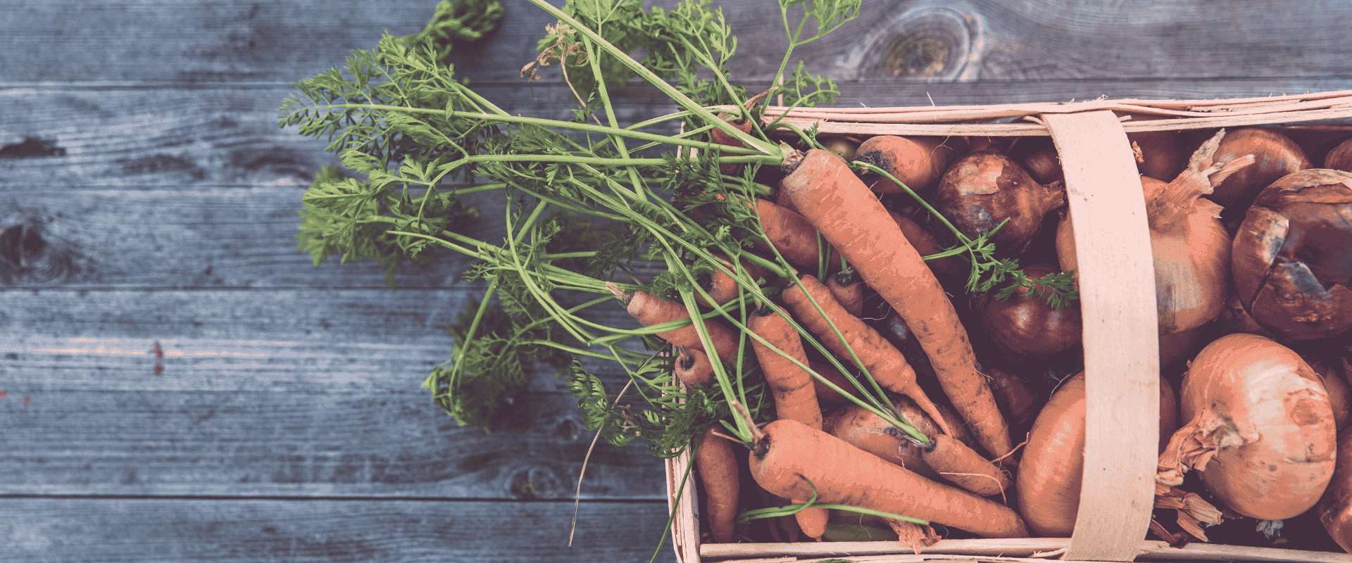 From Garden to Pantry: Simple Preservation Methods for Every Gardener