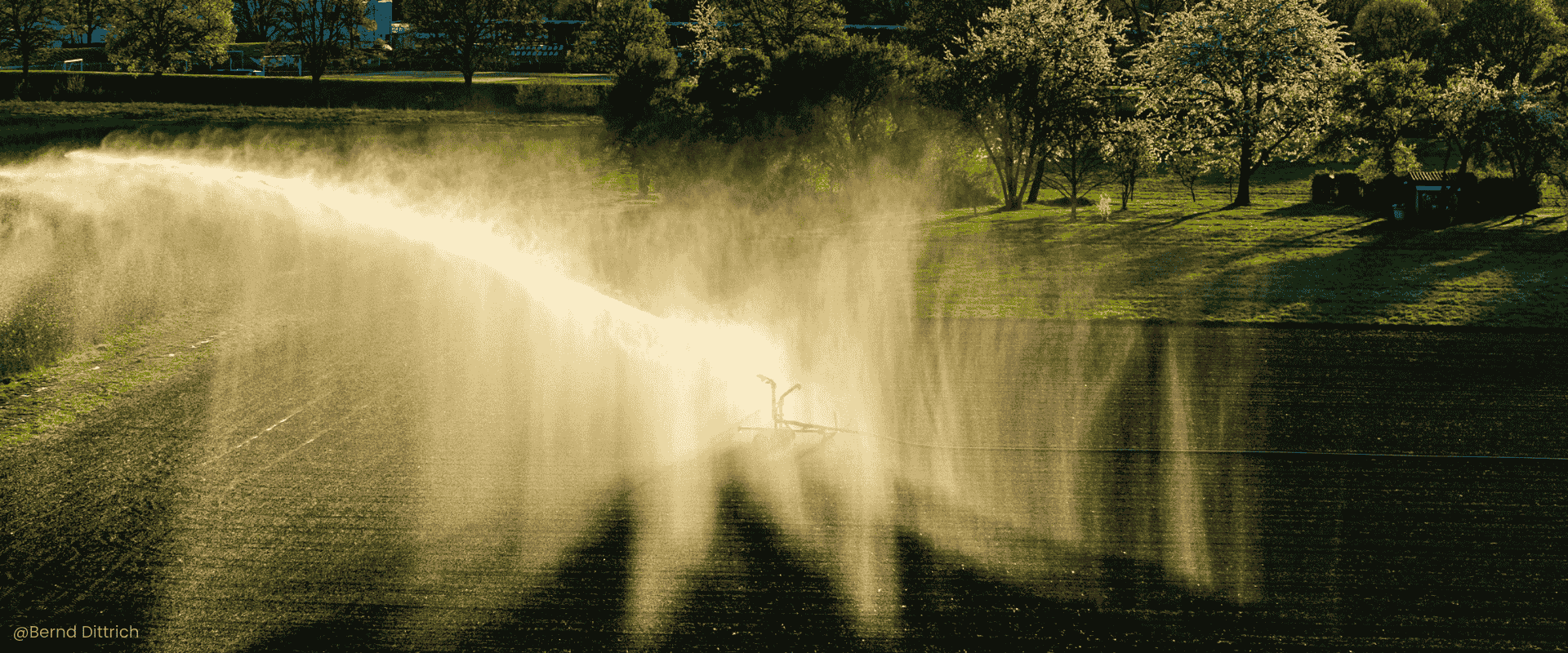 Global Garden Prep: Your Complete Guide to Next Season Success